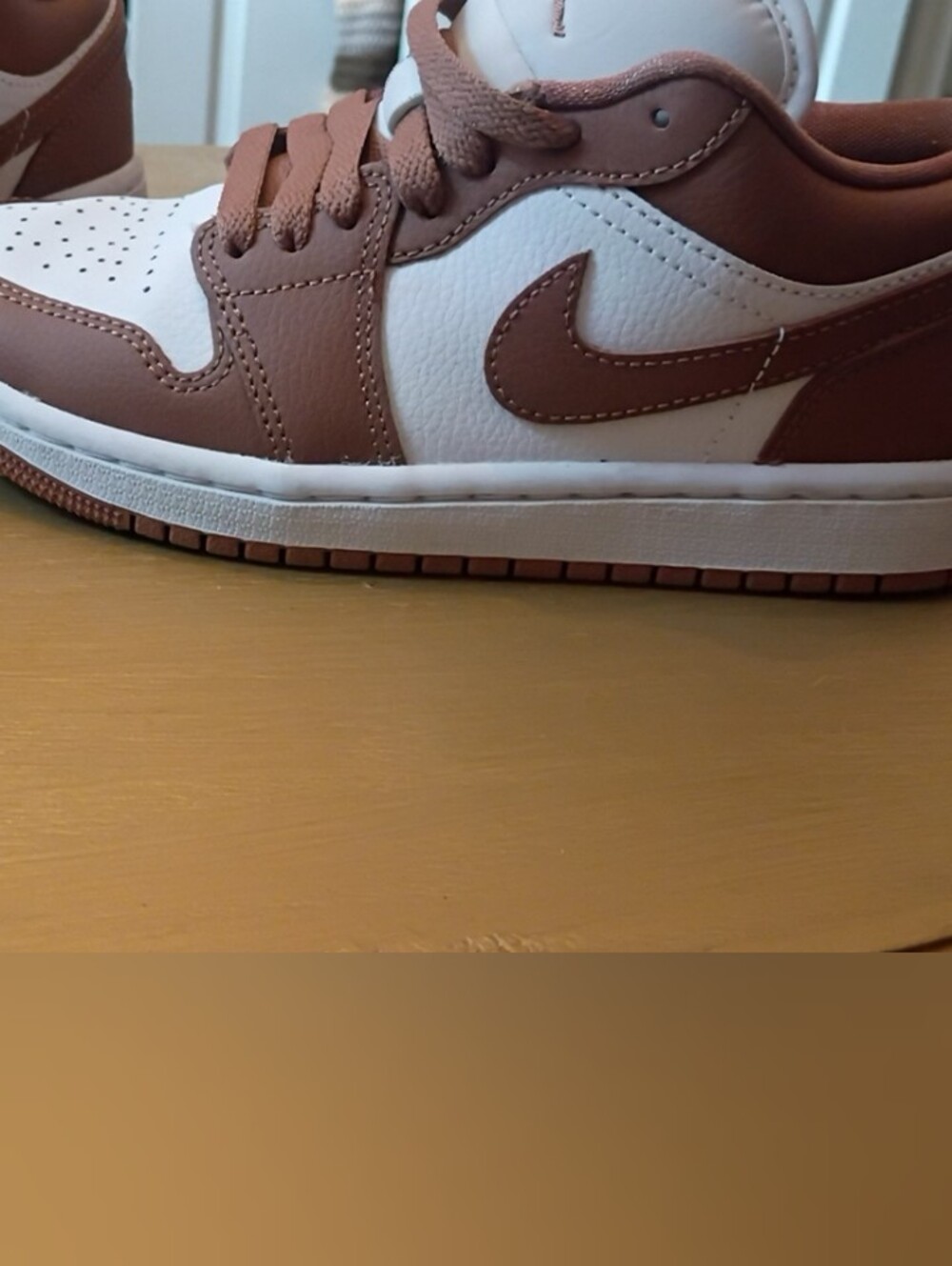 Nike Men’s Low-Top Sneakers — White and Brown